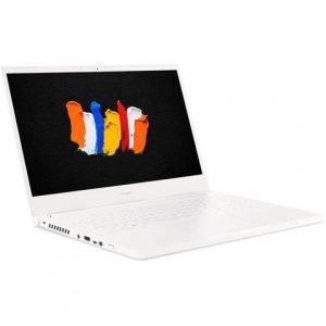 Acer CN315-71P 15.6" Laptop i5-9300H 16GB 512GB SSD W10P Nvidia T1000 White Acer America